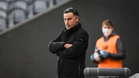 Christophe Galtier lors d'un match de Lille