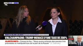 "Une bouteille qui coute entre 50 et 60 euros coûtera 150 euros": Taxe de 200% sur les vins et champagnes, inquiétude des producteurs