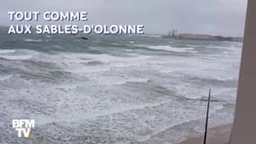 Tempête Miguel: vos images témoins