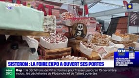 Sisteron: la 30e Foire-exposition a ouvert ses portes avec une trentaine d'exposants