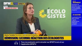 Marine Tondelier dénonce "les derniers messages d'un monde politique en train de s'effondrer"