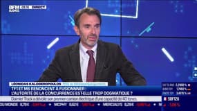 Autoriser la fusion TF1-M6 aurait "désarmé l'autorité de la concurrence en France sur sa capacité à sanctionner Google"
