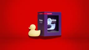 Il est de retour : ce canard vibrant est à moins de 30 euros chez Passage du Désir