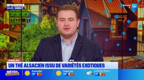 Bonjour Alsace du mercredi 17 décembre 2025