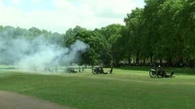 Des coups de canons tirés à Buckingham en l'honneur de Trump