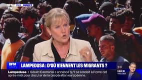 Lampedusa: "Quand vous avez 11 000 hommes qui débarquent sur l'île de Lampedusa avec une population de 6000 habitants, ce n'est pas une submersion, c'est une invasion", pour Nadine Morano (LR)