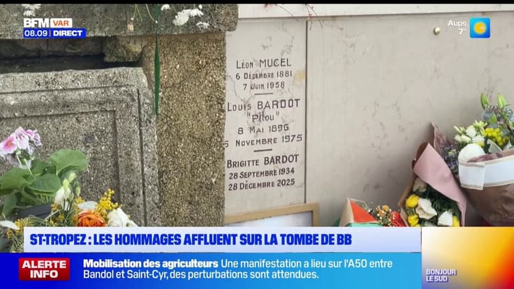 St-Tropez : les hommages affluent sur la tombe de BB
