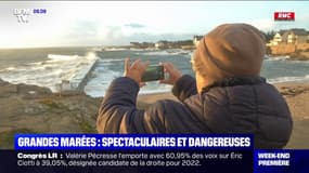 En Loire-Atlantique, les grandes marées font leur bonheur des habitants