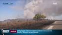 Au moins 480 hectares ont été ravagés par les flammes dans le Gard