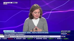 Sur le green : Investissement, rendement, sens... faut-il investir dans les foncières solidaires ? - 01/12