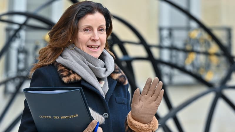 "Retrouver une certaine liberté de parole": la ministre Charlotte Parmentier-Lecocq va quitter le gouvernement