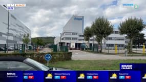 Obernai: 150 postes à pourvoir chez Hager Group
