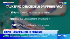 "Une baisse semble se confirmer" quant au nombre de cas de grippe en région Sud