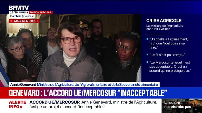 Pour la ministre de l'Agriculture, Annie Genevard, l'accord entre l'Union européenne et les pays sud-américains du Mercosur est "inacceptable"
