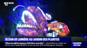 Océan de lumière au Jardin des plantes - 18/11