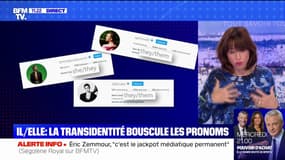 Il/elle, iel: la non-binarité bouscule les pronoms 