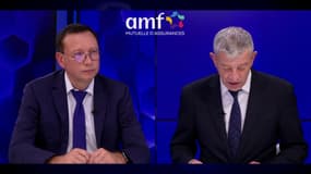 AMF : des experts engagés pour protéger les acteurs publics 