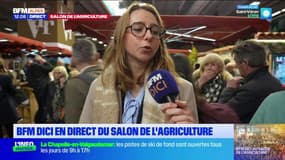 Salon de l'agriculture: les visiteurs découvrent les tourtons du Champsaur