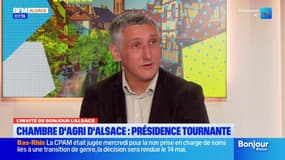 Chambre d'agriculture d'Alsace: les priorités du président Ange Loing