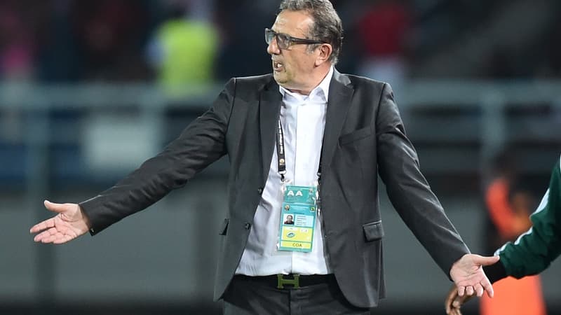 Georges Leekens