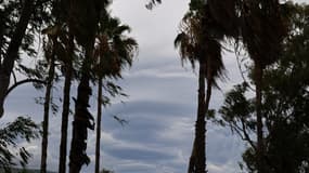 Les vagues s'écrasent à Saint-Denis de la Réunion le 14 janvier 2024. 