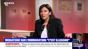 Pour Anne Hidalgo, un moratoire sur l'immigration est "illusoire"