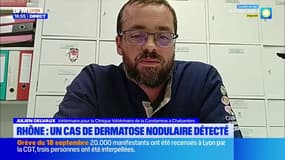 Rhône : un cas de dermatose nodulaire détecté