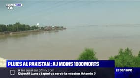 Pluies au Pakistan : au moins 1 000 morts - 29/08