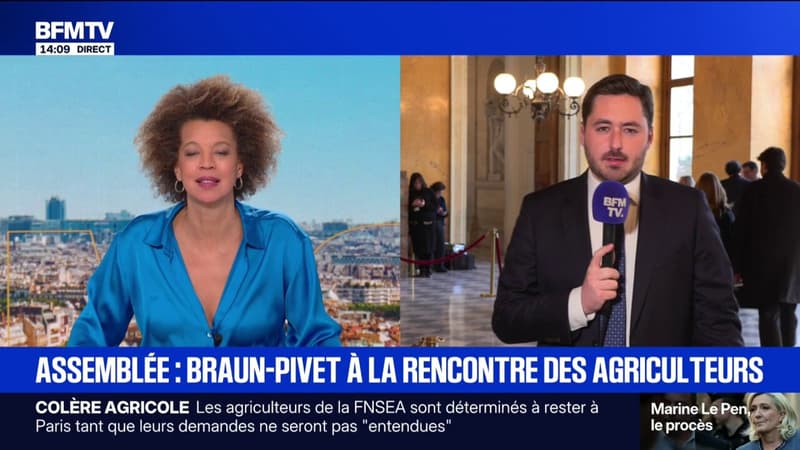 Braun-Pivet veut "titiller" le gouvernement sur le manque d'application des lois votées