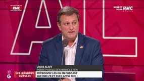 Parrainages: "Marine Le Pen devrait en être dispensée", assure le vice-président du RN Louis Aliot