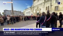 Arles: une manifestation pour défendre la corrida