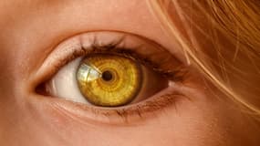WorldCoin veut scanner votre iris pour créer un identifiant unique