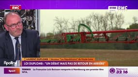 Loi Duplomb : le sénateur défend l'utilisation d'acétamipride