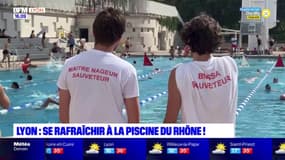 "C'est très convivial": se rafraîchir à la piscine du Rhône à Lyon