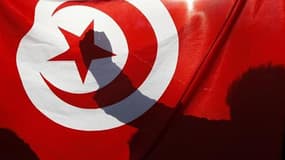 Le président tunisien par intérim Fouad Mebazaa et le Premier ministre Mohamed Ghannouchi ont renoncé à leurs fonctions au sein du RCD, parti du chef de l'Etat déchu Zine Ben Ali, "afin de séparer l'Etat et le parti", a annoncé la télévision publique. /Ph