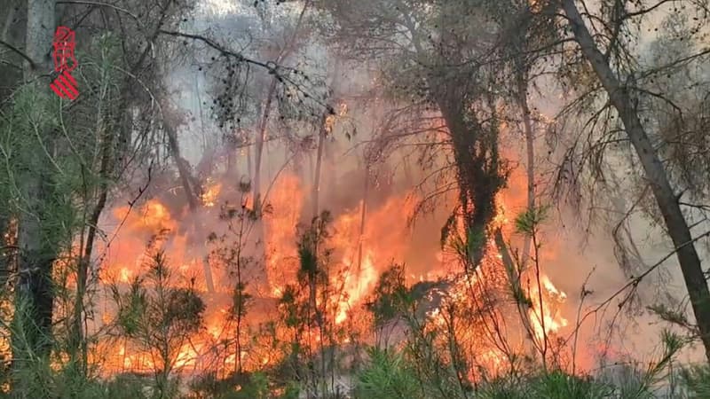 Un incendie en Espagne a déjà brûlé plus de 3800 hectares de forêt, alors que les autorités tentent de lutter contre la progression des flammes ce lundi 27 mars 2023