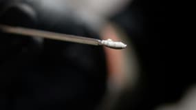 Le chemsex, alliance de consommation de drogue à des fins de sexualité, explose en France, selon les addictologues
