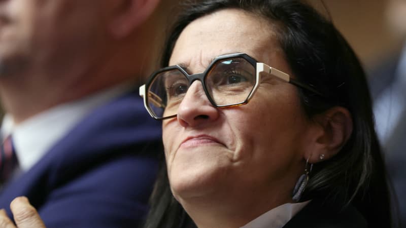 "Je suis vraiment tombée de haut": la députée RN Lisette Pollet s'exprime après avoir licencié son assistant parlementaire pour des messages "nauséabonds"