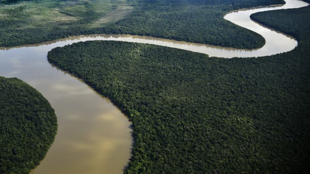 L'Amazonie -