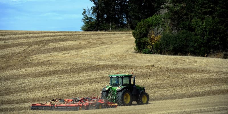 La baisse de production de l'ensemble des céréales à paille (blé tendre, blé dur, orge, triticale, seigle et avoine) est évaluée à 13% en France?