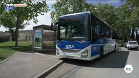 Zou ! Le mag : se déplacer à moindre frais avec la carte Zou ! Solidaire et la région Sud