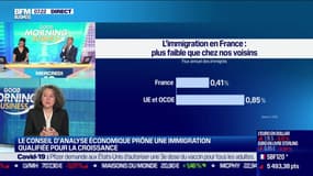 Emmanuelle Auriol (Membre du Conseil d'Analyse Économique): "Quand vous immigrez, c'est très coûteux [...] Ça sélectionne des gens qui sont ambitieux, jeunes, plus éduqués que la moyenne et surtout qui aiment le risque"