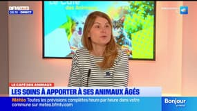 Bonjour Lille du mercredi 17 décembre 2025