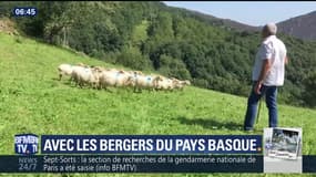 Une semaine en...: Avec les bergers du Pays basque
