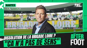 FC Nantes : Dissolution de la Brigade Loire ? "Ça n'a pas de sens" estime Riolo 