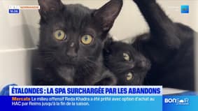 Le journal de 18h du mardi 2 septembre 2025