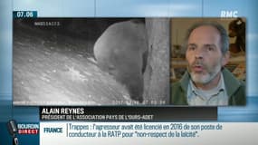 Va-t-on vers une réintroduction de l'ours dans les Pyrénées?