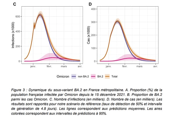 Nombre d’infections en milliers (graphique C) et nombre de cas (D) du Covid-19 selon les variants