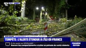 Vents violents: l'Île-de-France placée en vigilance orange, des dégâts déjà observés à Nogent-sur-Marne, dans le Val-de-Marne