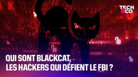 États-Unis : qui sont BlackCat, les hackers qui défient le FBI?